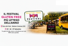 Gluten Free Pop Festival